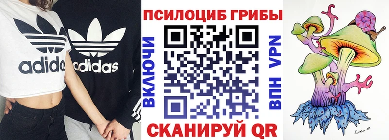 Псилоцибиновые грибы прущие грибы  где найти   Нефтегорск 
